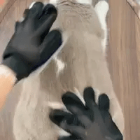 Eluna™ Guante de Cepillado
