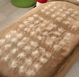 Manopla Eluna™ Quitapelos Reutilizable para Mascotas
