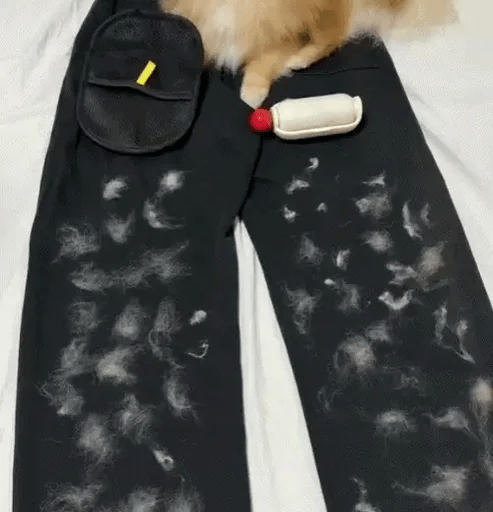Manopla Eluna™ Quitapelos Reutilizable para Mascotas
